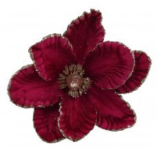 Χριστουγεννιάτικο Λουλούδι Μανώλια, Φούξια (25cm)